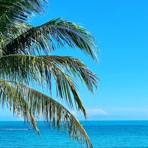 Meet your Posher, Missy